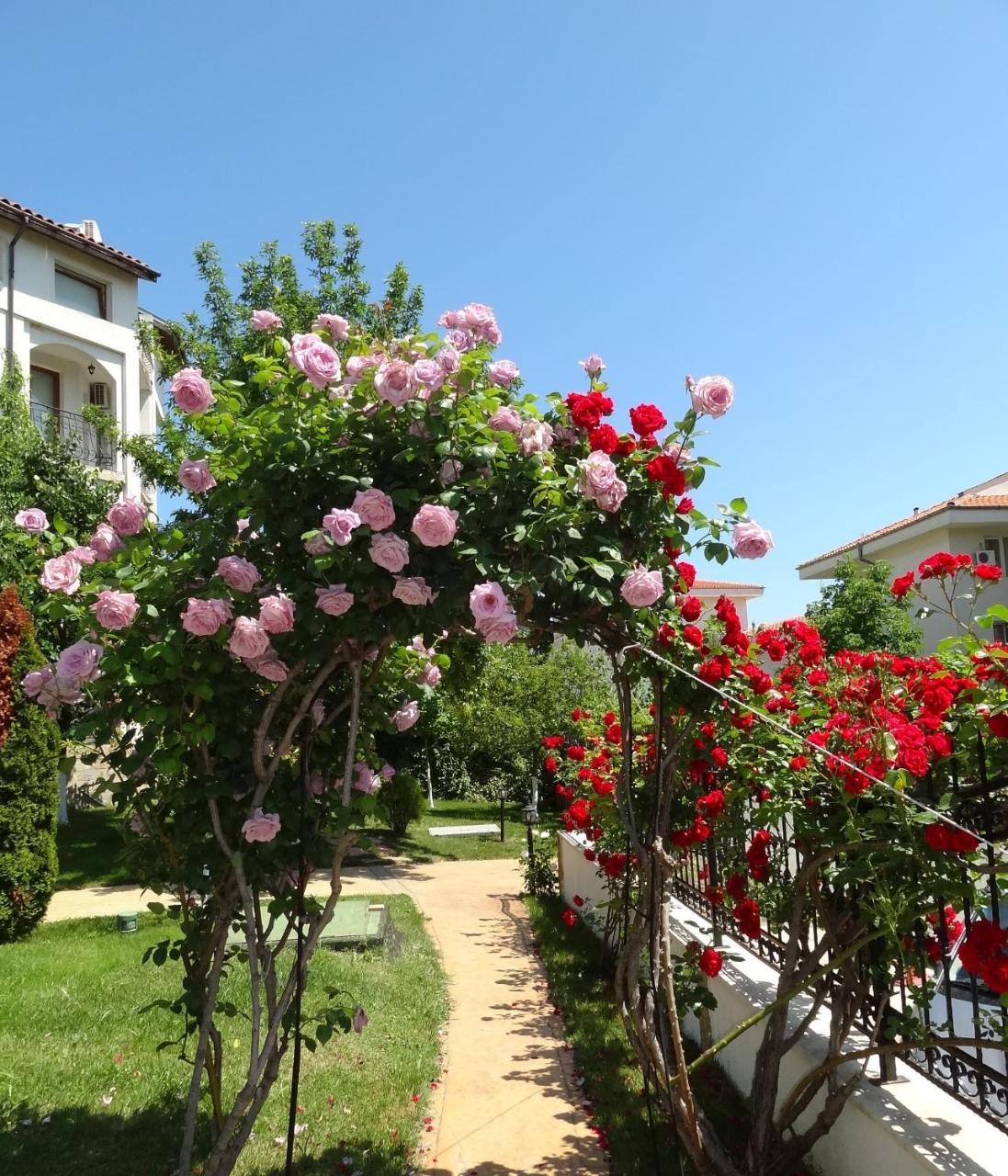 Triumph Holiday Village Sveti Vlas Dış mekan fotoğraf
